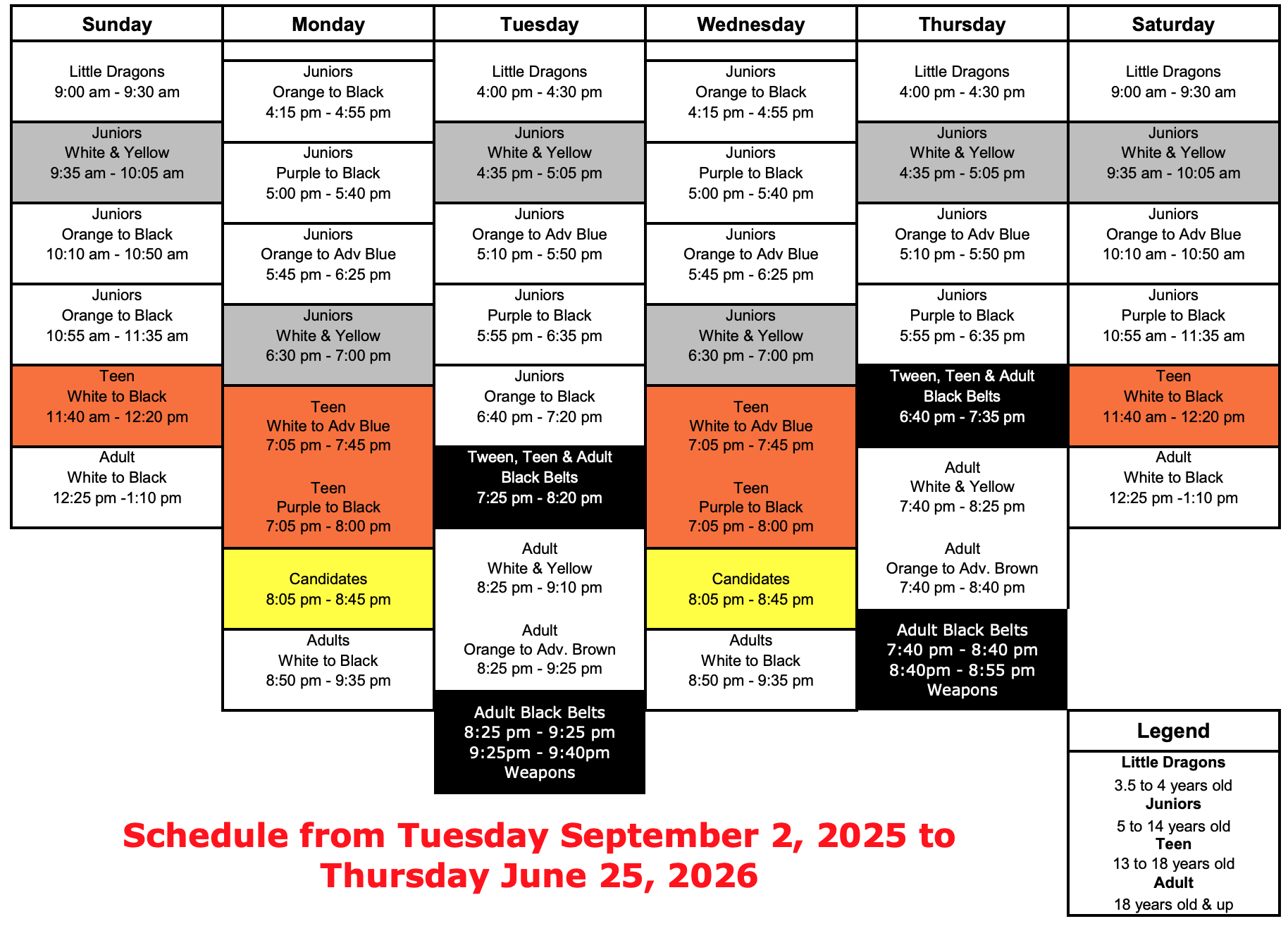 Energy Karate weekly class schedule showing Little Dragons, Junior, Teen, and Adult program times